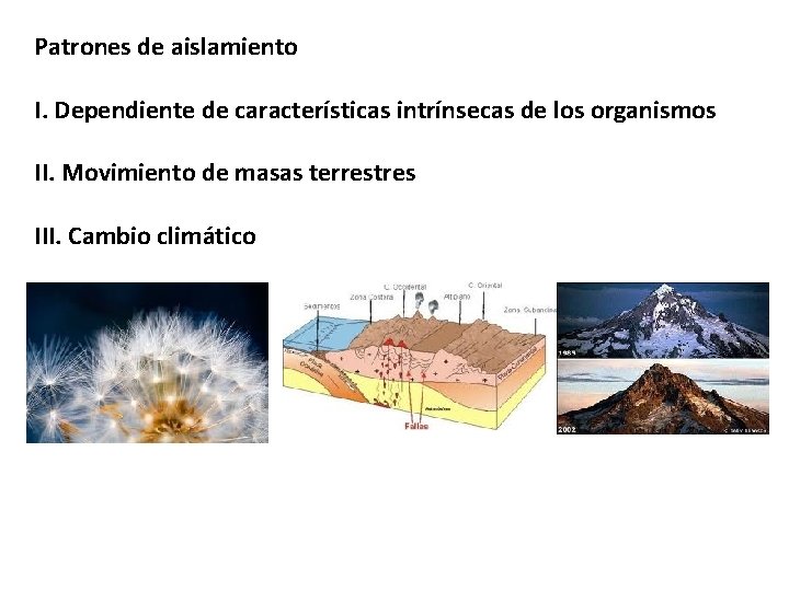 Patrones de aislamiento I. Dependiente de características intrínsecas de los organismos II. Movimiento de