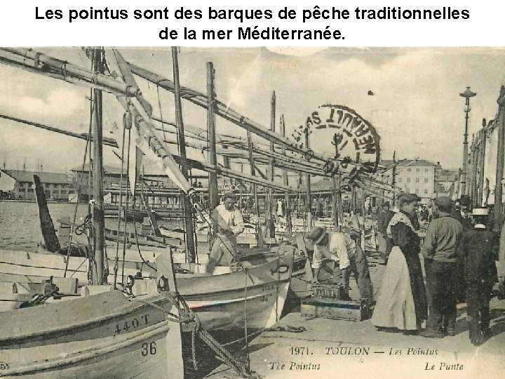 Les pointus sont des barques de pêche traditionnelles de la mer Méditerranée. Les pointus sont des barques de pêche traditionnelles de la mer Méditerranée.