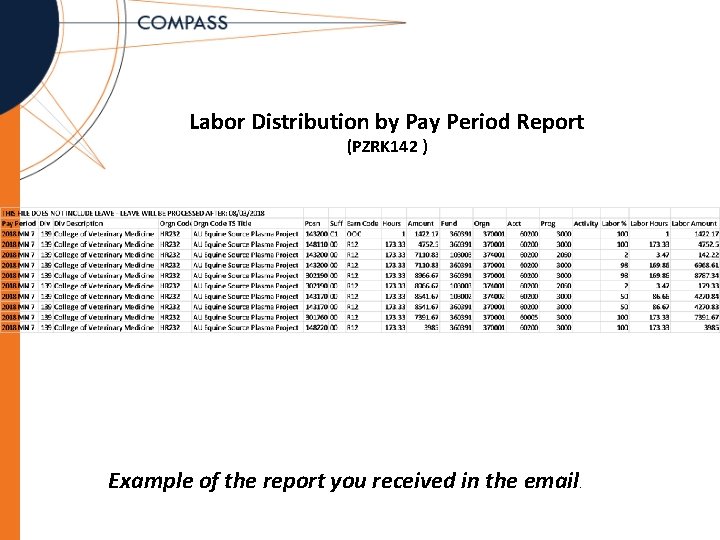 Labor Distribution by Pay Period Report (PZRK 142 ) Example of the report you