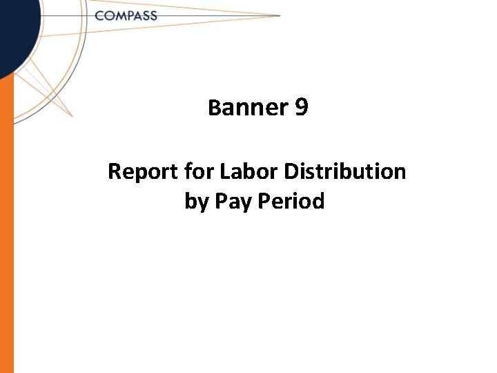 Banner 9 Report for Labor Distribution by Pay Period 
