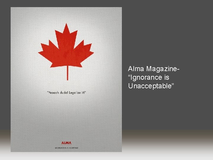 Alma Magazine“Ignorance is Unacceptable” 