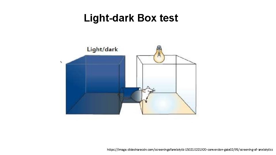 Light-dark Box test https: //image. slidesharecdn. com/screeningofanxiolytic-150210221920 -conversion-gate 02/95/screening-of-anxiolytics 