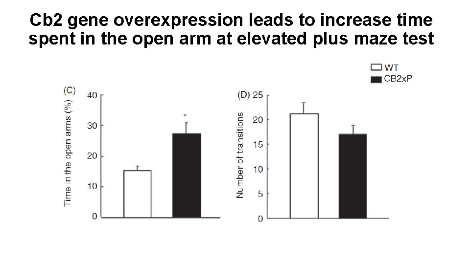 Cb 2 gene overexpression leads to increase time spent in the open arm at