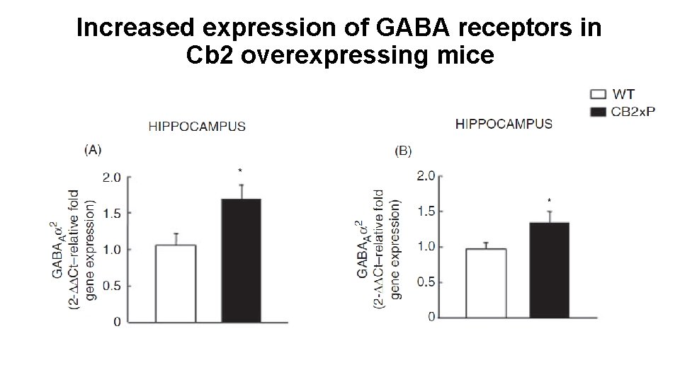 Increased expression of GABA receptors in Cb 2 overexpressing mice 