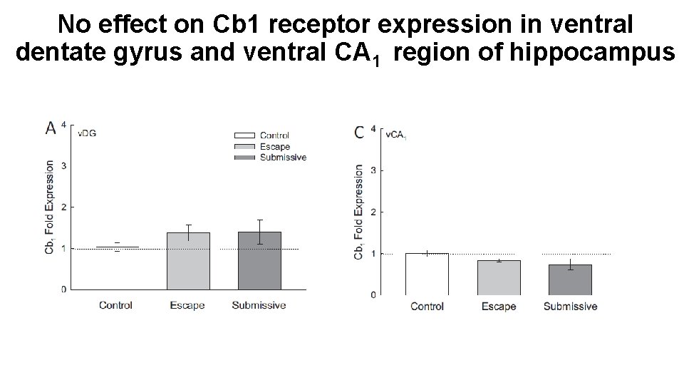 No effect on Cb 1 receptor expression in ventral dentate gyrus and ventral CA