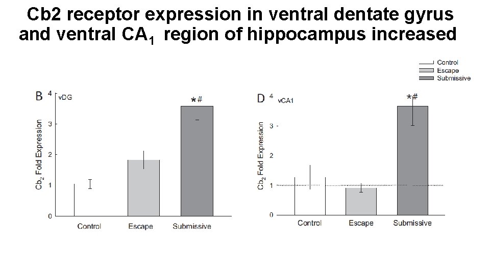 Cb 2 receptor expression in ventral dentate gyrus and ventral CA 1 region of