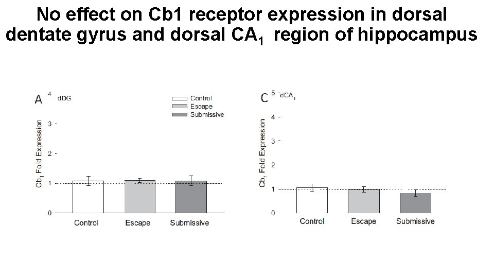 No effect on Cb 1 receptor expression in dorsal dentate gyrus and dorsal CA