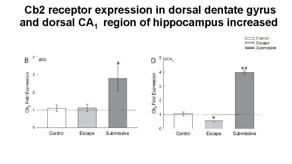 Cb 2 receptor expression in dorsal dentate gyrus and dorsal CA 1 region of