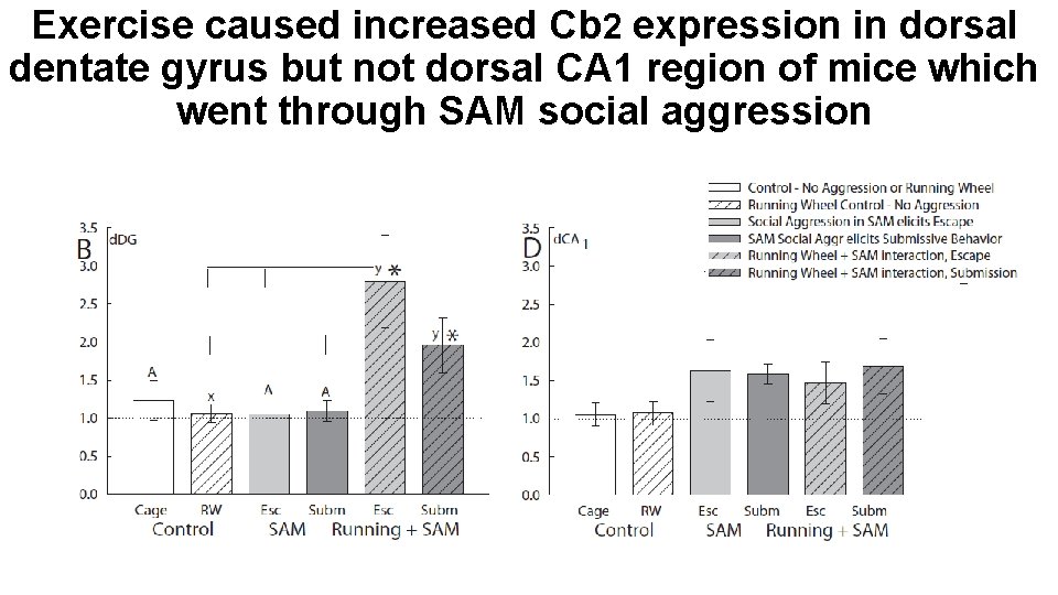 Exercise caused increased Cb 2 expression in dorsal dentate gyrus but not dorsal CA