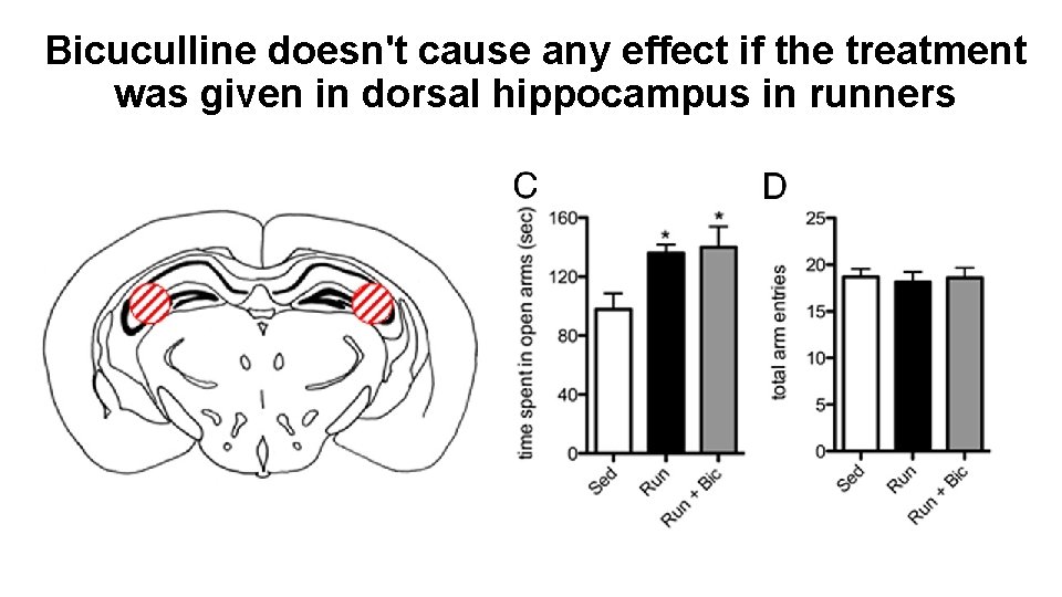 Bicuculline doesn't cause any effect if the treatment was given in dorsal hippocampus in