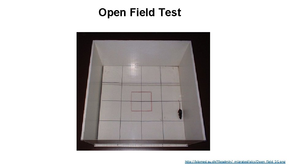 Open Field Test http: //biomed. au. dk/fileadmin/_migrated/pics/Open_field_SG. png 