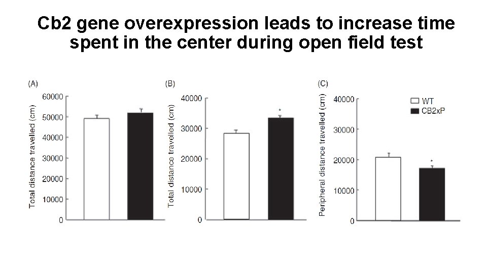 Cb 2 gene overexpression leads to increase time spent in the center during open