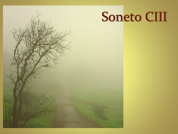 Soneto CIII 