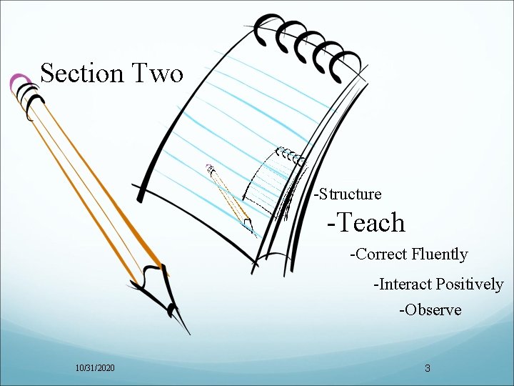 Section Two -Structure -Teach -Correct Fluently -Interact Positively -Observe 10/31/2020 3 