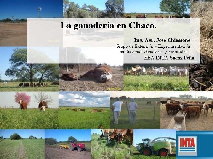 La ganadería en Chaco. Ing. Agr. Jose Chiossone Grupo de Extensión y Experimentación en