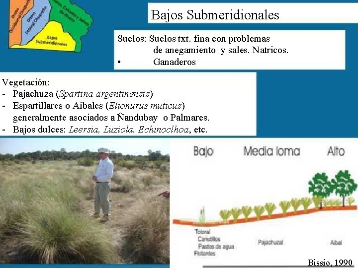 Bajos Submeridionales Suelos: Suelos txt. fina con problemas de anegamiento y sales. Natricos. •