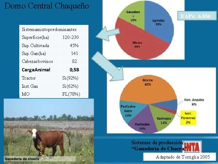 Domo Central Chaqueño EAPs: 6. 036 Sistemamixtopredominantes Superficie(ha) 120 -230 Sup. Cultivada 45% Sup.