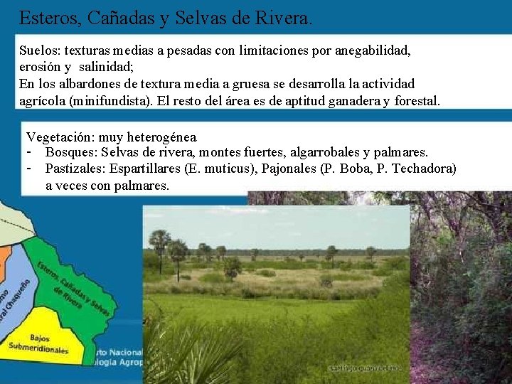 Esteros, Cañadas y Selvas de Rivera. Suelos: texturas medias a pesadas con limitaciones por