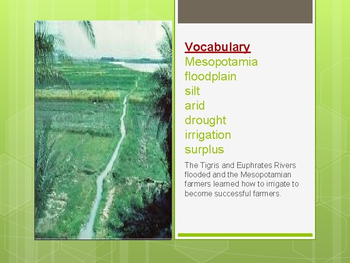 Vocabulary Mesopotamia floodplain silt arid drought irrigation surplus The Tigris and Euphrates Rivers flooded Vocabulary Mesopotamia floodplain silt arid drought irrigation surplus The Tigris and Euphrates Rivers flooded