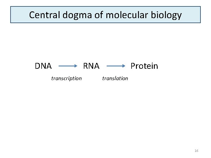 Central dogma of molecular biology DNA transcription RNA Protein translation 16 