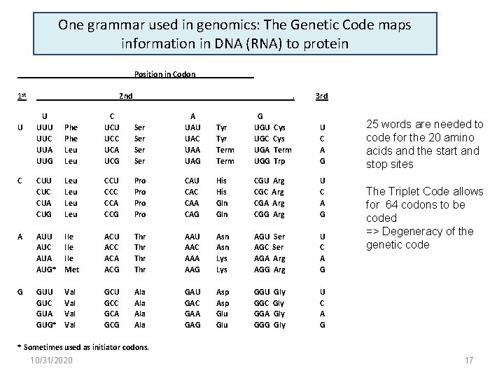 One grammar used in genomics: The Genetic Code maps information in DNA (RNA) to