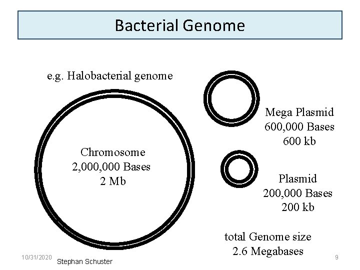 Bacterial Genome e. g. Halobacterial genome Chromosome 2, 000 Bases 2 Mb 10/31/2020 Stephan