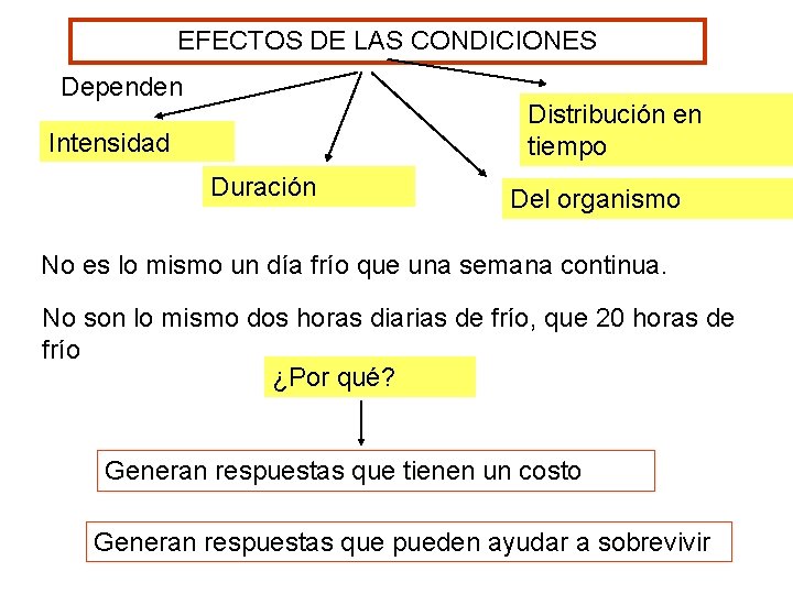EFECTOS DE LAS CONDICIONES Dependen Distribución en tiempo Intensidad Duración Del organismo No es