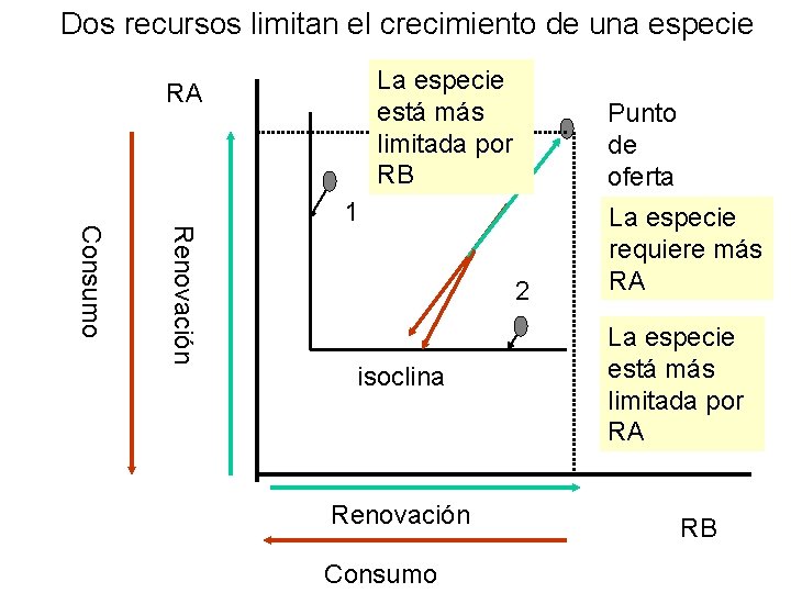 Dos recursos limitan el crecimiento de una especie La especie está más limitada por