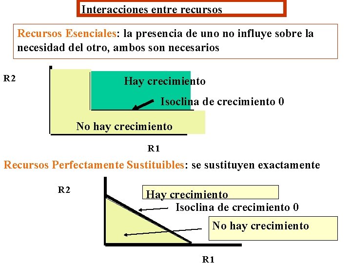 Interacciones entre recursos Recursos Esenciales: la presencia de uno no influye sobre la necesidad