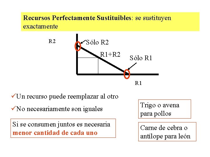 Recursos Perfectamente Sustituibles: se sustituyen exactamente R 2 Sólo R 2 R 1+R 2