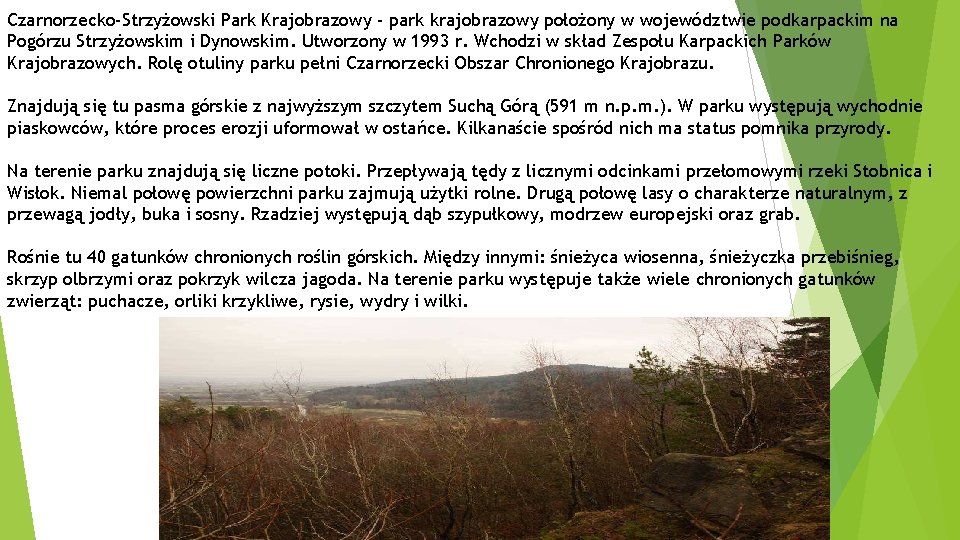 Czarnorzecko-Strzyżowski Park Krajobrazowy - park krajobrazowy położony w województwie podkarpackim na Pogórzu Strzyżowskim i