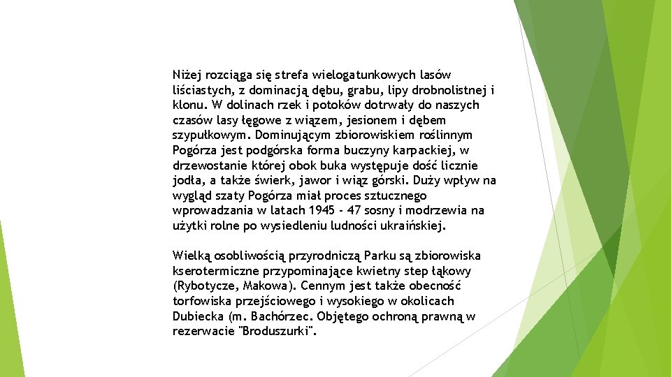 Niżej rozciąga się strefa wielogatunkowych lasów liściastych, z dominacją dębu, grabu, lipy drobnolistnej i