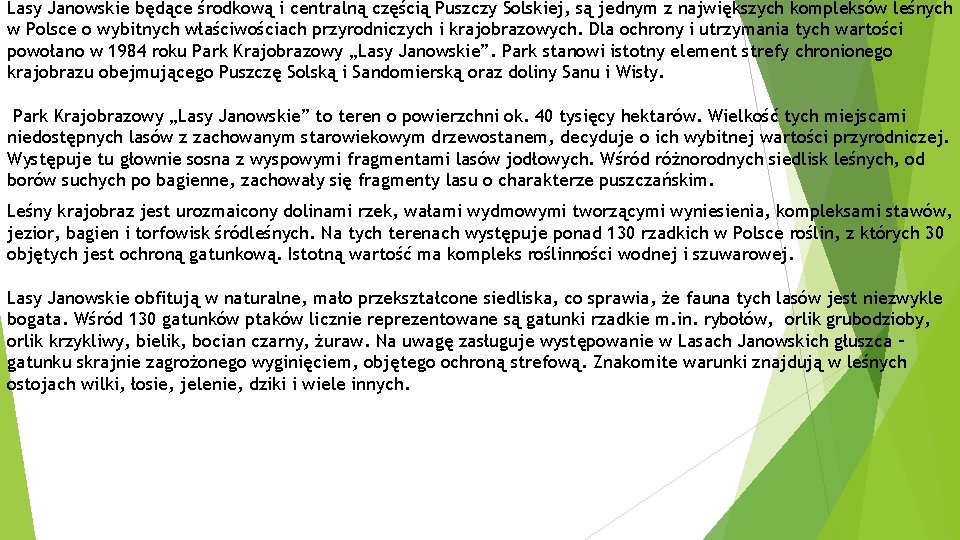 Lasy Janowskie będące środkową i centralną częścią Puszczy Solskiej, są jednym z największych kompleksów