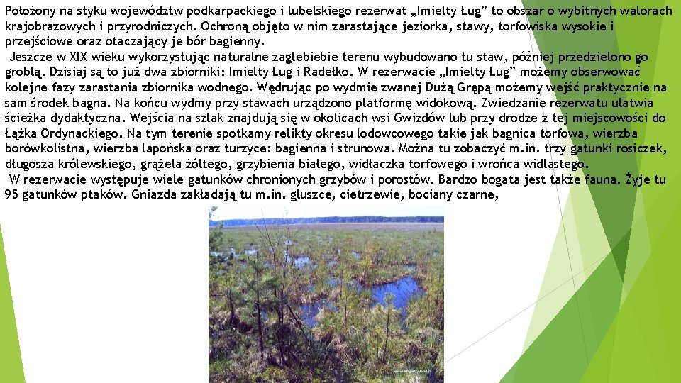 Położony na styku województw podkarpackiego i lubelskiego rezerwat „Imielty Ług” to obszar o wybitnych