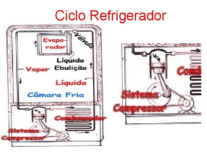 Ciclo Refrigerador 