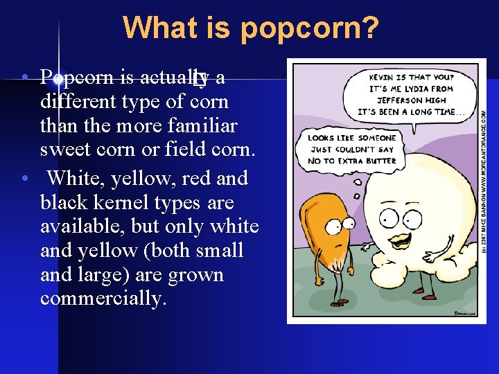 What is popcorn? • Popcorn is actually a different type of corn than the
