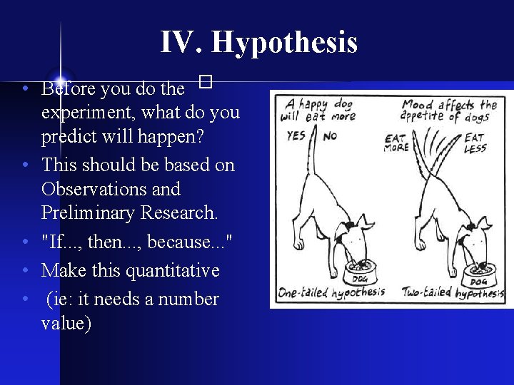 IV. Hypothesis � • Before you do the experiment, what do you predict will