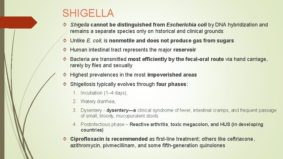 SHIGELLA Shigella cannot be distinguished from Escherichia coli by DNA hybridization and remains a