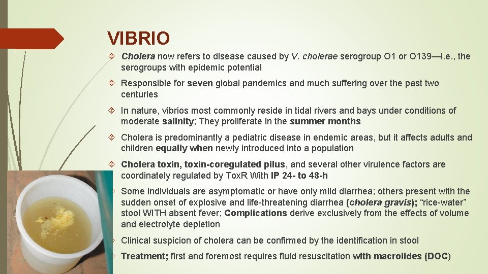 VIBRIO Cholera now refers to disease caused by V. cholerae serogroup O 1 or