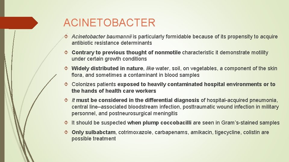 ACINETOBACTER Acinetobacter baumannii is particularly formidable because of its propensity to acquire antibiotic resistance