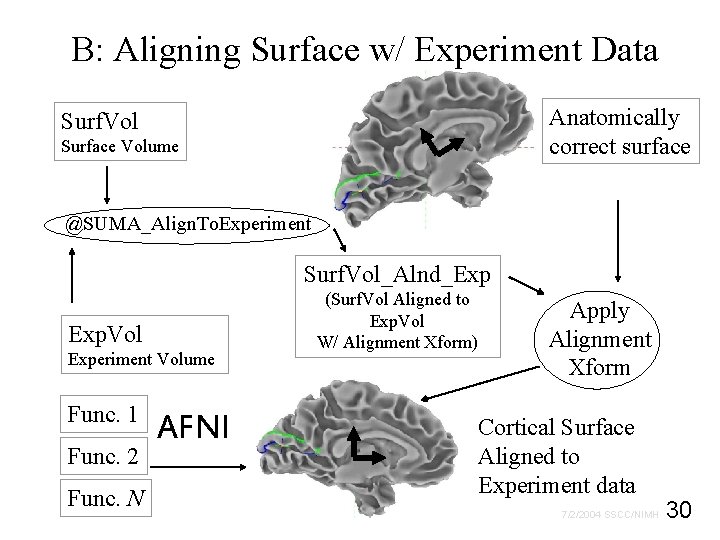 B: Aligning Surface w/ Experiment Data Anatomically correct surface Surf. Vol Surface Volume @SUMA_Align.