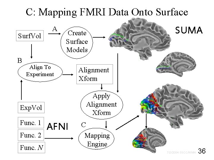 C: Mapping FMRI Data Onto Surface Surf. Vol B A Create Surface Models Align