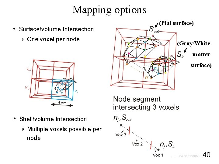 Mapping options • Surface/volume Intersection H One voxel per node (Pial surface) (Gray/White matter