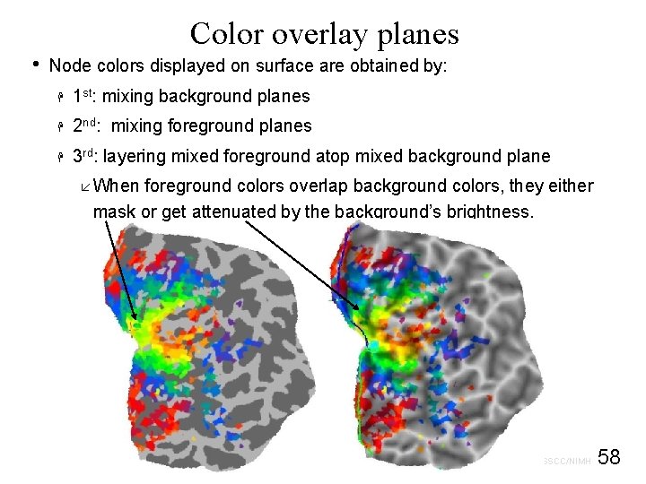  • Color overlay planes Node colors displayed on surface are obtained by: H