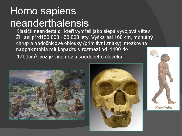 Homo sapiens neanderthalensis Klasičtí neandertálci, kteří vymřeli jako slepá vývojová větev. Žili asi přrd