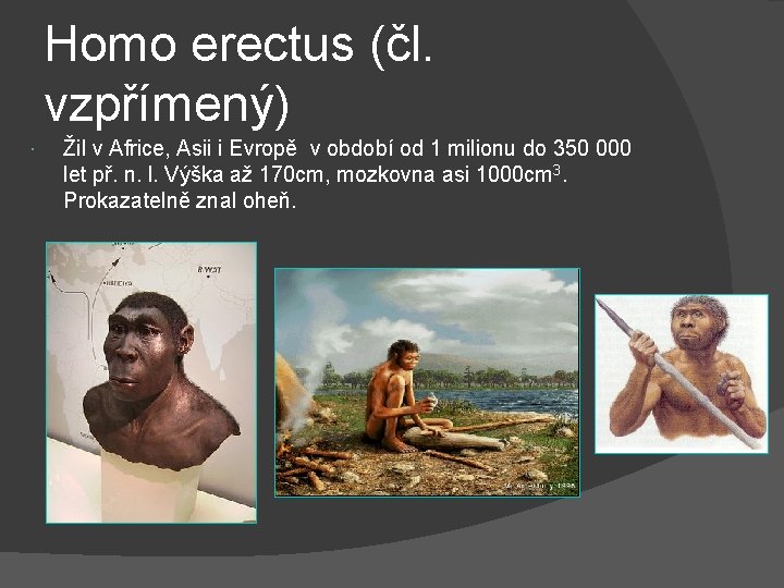 Homo erectus (čl. vzpřímený) Žil v Africe, Asii i Evropě v období od 1