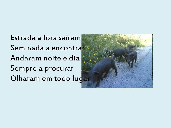 Estrada a fora saíram Sem nada a encontrar Andaram noite e dia Sempre a