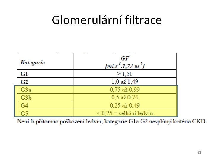 Glomerulární filtrace 13 