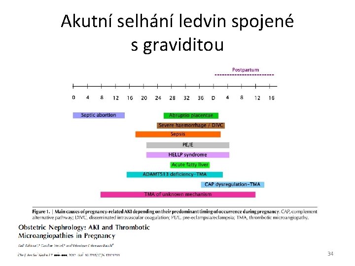 Akutní selhání ledvin spojené s graviditou 34 