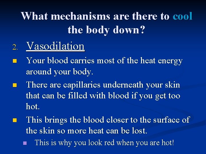 What mechanisms are there to cool the body down? 2. Vasodilation n Your blood